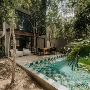https://casa-pala-designer-la-veleta-jungle-home.quintano-roohotels.com